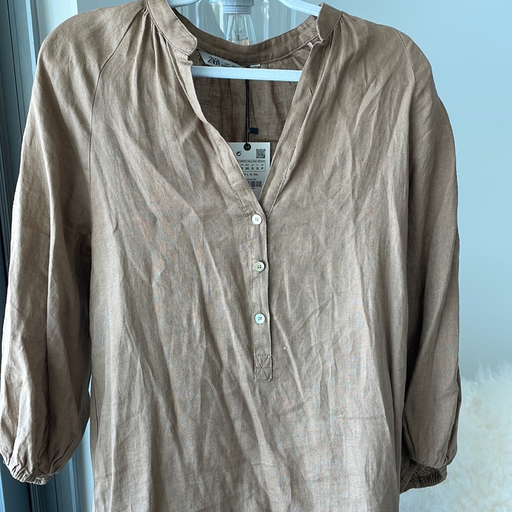 Zara Brown Dress
